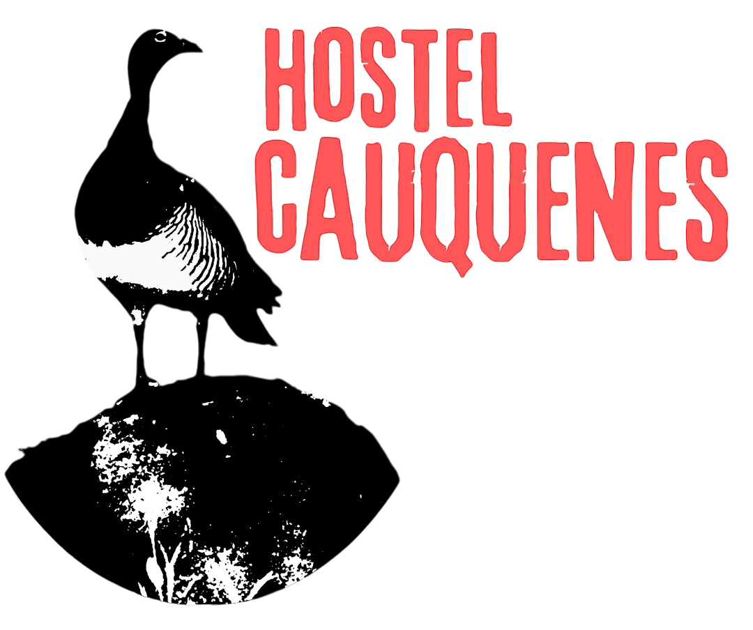 Hostel Cauquenes